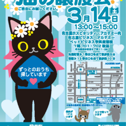 猫の譲渡会★13団体参加★矢場町・栄徒歩圏内