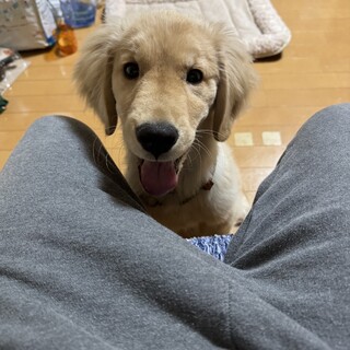 Τ���罸�Υ�����ǥ��ȥ�С����ٻ���