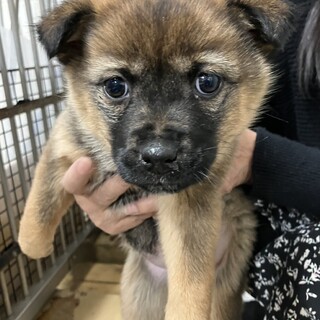 ※優先期間内にお迎え下さい　2月25日迄