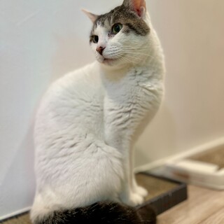 お水は水道の蛇口から飲みたい！人間大好きうなぎくん