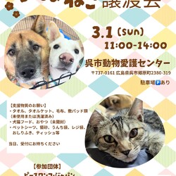 いぬねこ譲渡会 サムネイル1