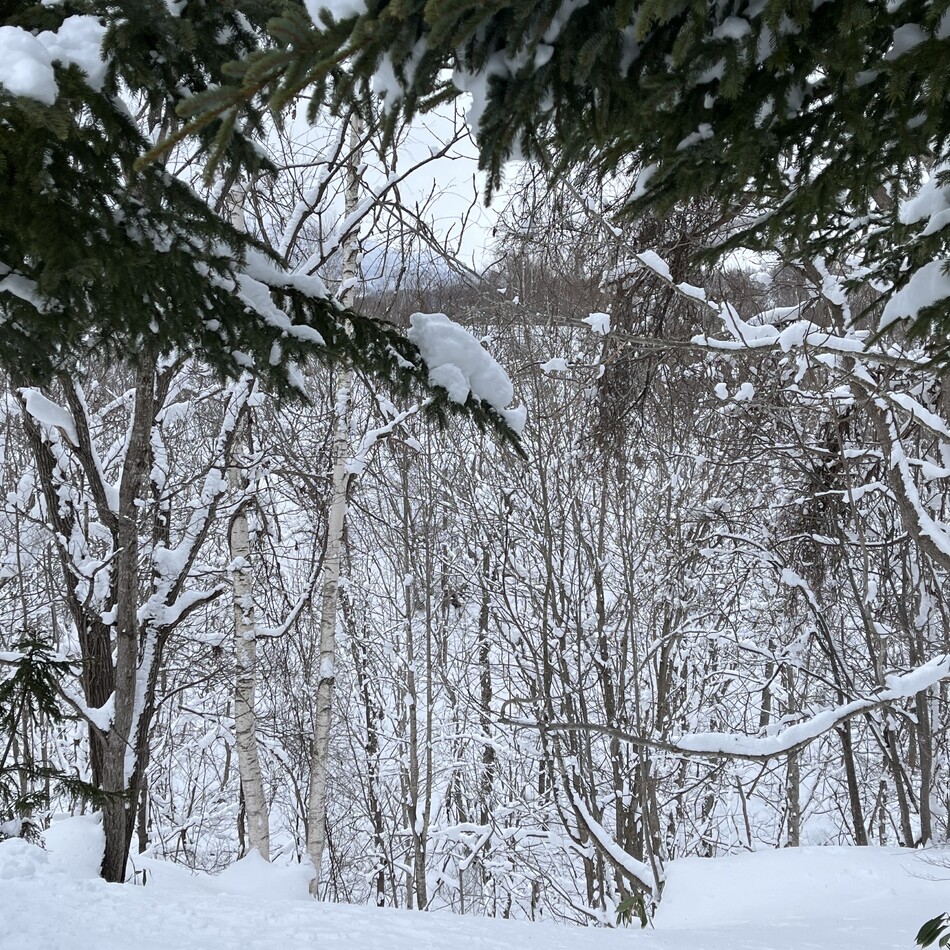 ちろるのカバー写真