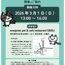 保護ねこ譲渡会