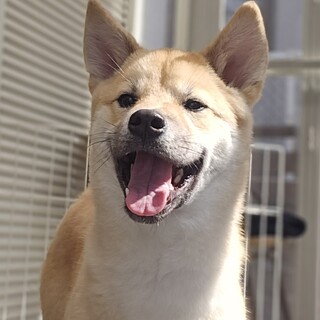 6ヶ月くらい優しい顔の穂高くん