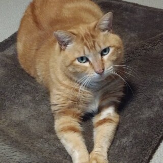 お外頑張り組　5歳チャーくん