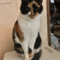 エリー