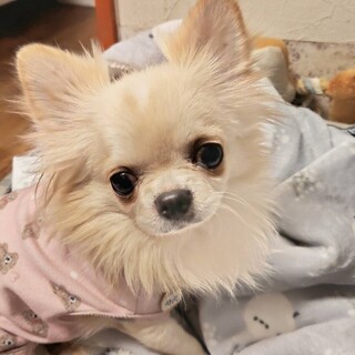 元気いっぱい天真爛漫な甘えっこ♡サバくん