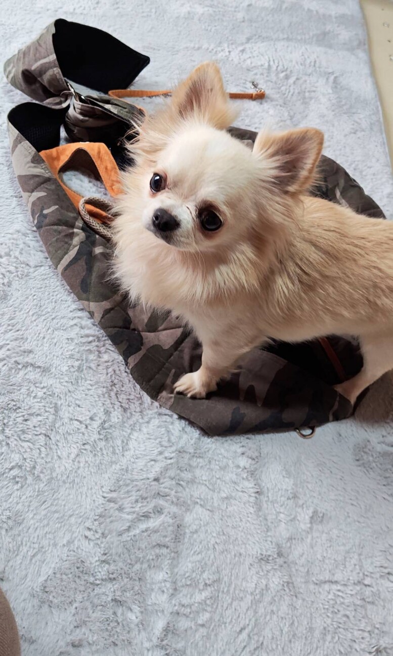 元気いっぱい天真爛漫な甘えっこ♡サバくん サムネイル2