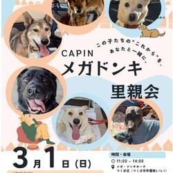 メガドンキ里親会