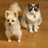 PUFFY&MARRON