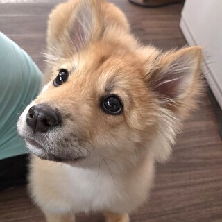 推定4ヶ月男の子つるぎ君