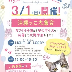 3/1(日)府中猫の会譲渡会