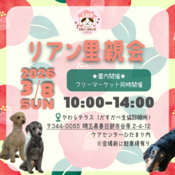 犬保護団体リアン 里親会