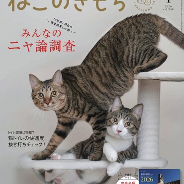 ねこのきもち　1月号の表紙になりました！