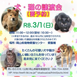 犬・猫の譲渡会