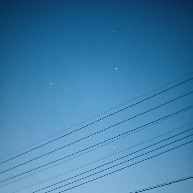 豚まんじゅうのカバー写真