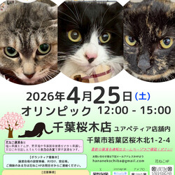 花ねこ譲渡会