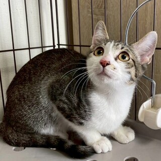 もちおくん♂@約5ヶ月