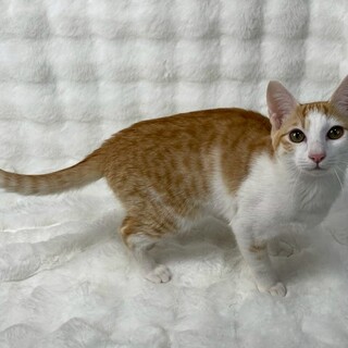 きんくん♂@約5ヶ月