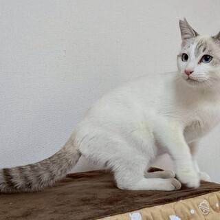 らすてぃくん♂@約5ヶ月