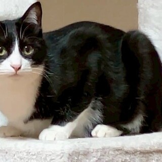 デニムくん♂@約11ヶ月未満