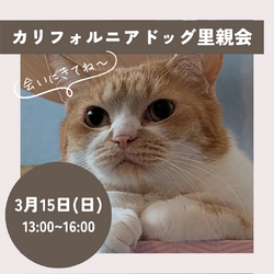 CAPIN ねこ里親会　INカリフォルニアドッグ