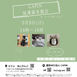 CAPIN ねこの里親会　IN カフェねこだんご
