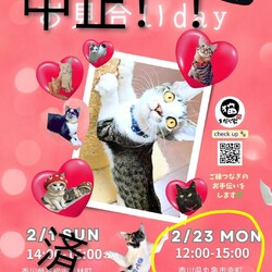 ‼️中止‼️　まだら家 サムネイル1