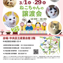 ねこざんまい譲渡会@東日本橋