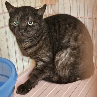 【急募】　2/26　元いた場所にリリース