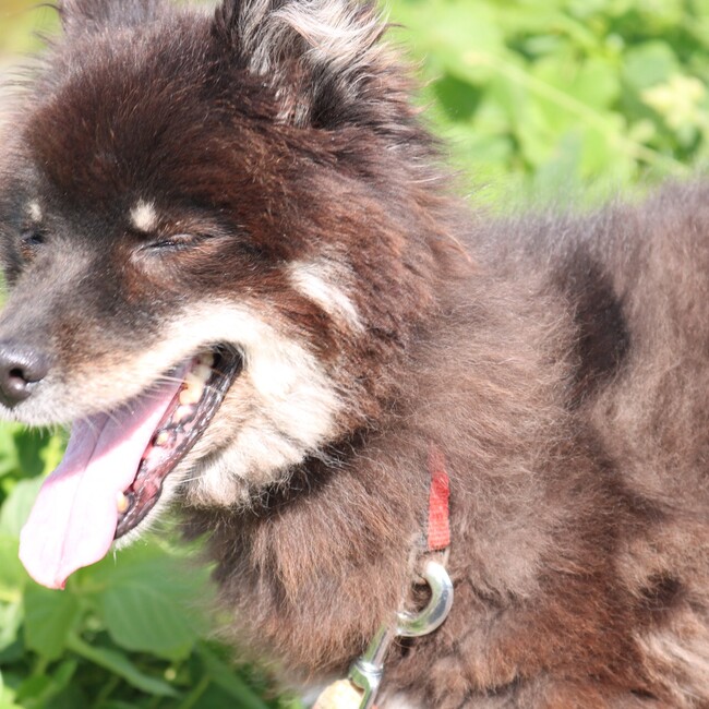 じぇばりのカバー写真