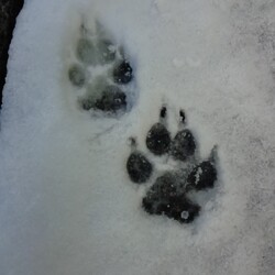 「還暦です！」サムネイル3