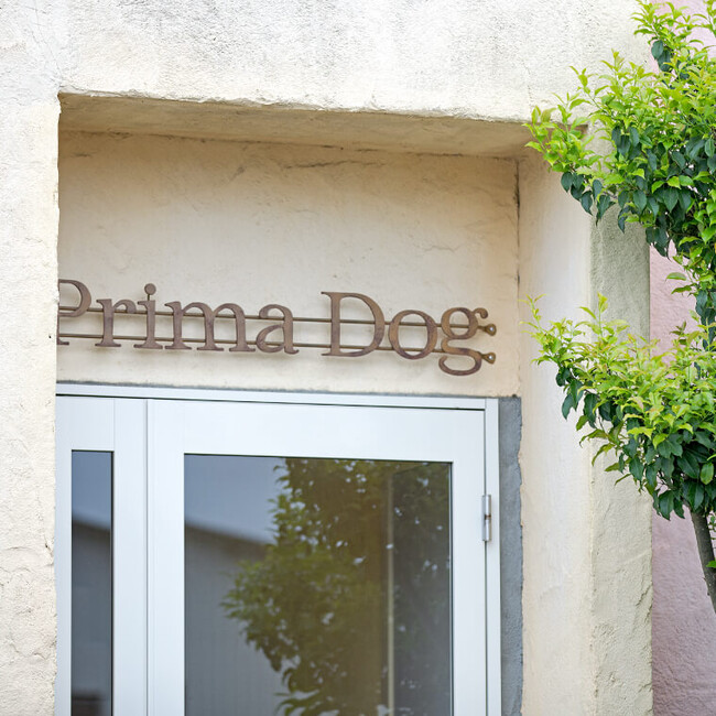 primadog by giorichのカバー写真