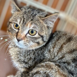 まだ小さな女の子　汀