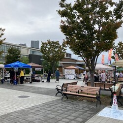 第15回保護いぬ＆ねこの譲渡会 サムネイル2