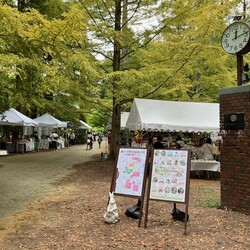 森とうさぎのMARCHE