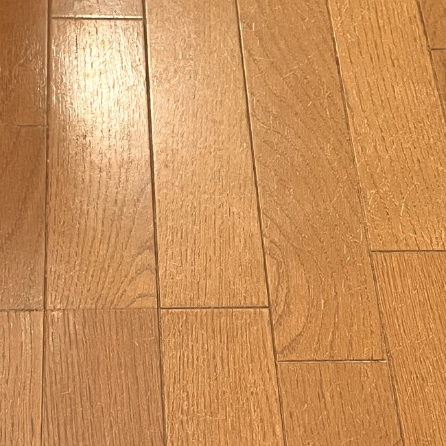 小動物だいすきさんのカバー写真