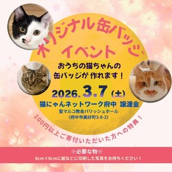 猫にゃんネットワーク府中{保護猫の譲渡会} サムネイル2