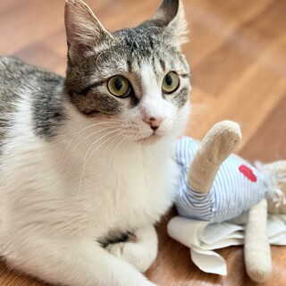 とっても甘えん坊♡蓮(レン)くん