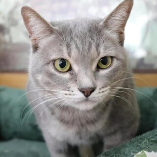 おっとり優しいさらちゃん　1歳半