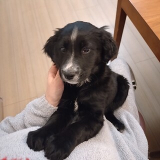 とても可愛いです。