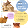 みおくん 濃茶 サムネイル4