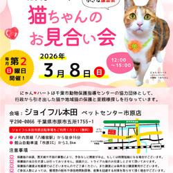 にゃんハートお見合い会（小さな譲渡会） サムネイル1
