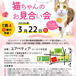 にゃんハートお見合い会（小さな譲渡会）