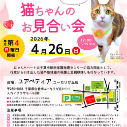 にゃんハートお見合い会（小さな譲渡会）