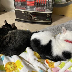 トムさん、寒いねん！