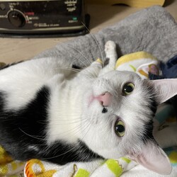 「トムさん、寒いねん！」サムネイル2