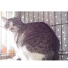 片目のディナちゃん サムネイル2