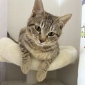 かわいいむぎくん