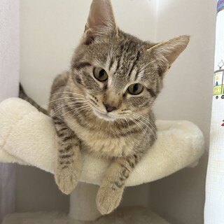 かわいいむぎくん